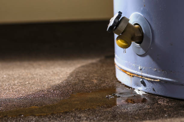 Best Flood restoration services  in Orland, CA