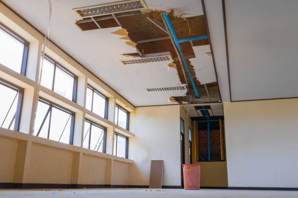 Best Sewage cleanup and water damage restoration  in Orland, CA