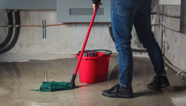 Best Emergency water extraction  in Orland, CA