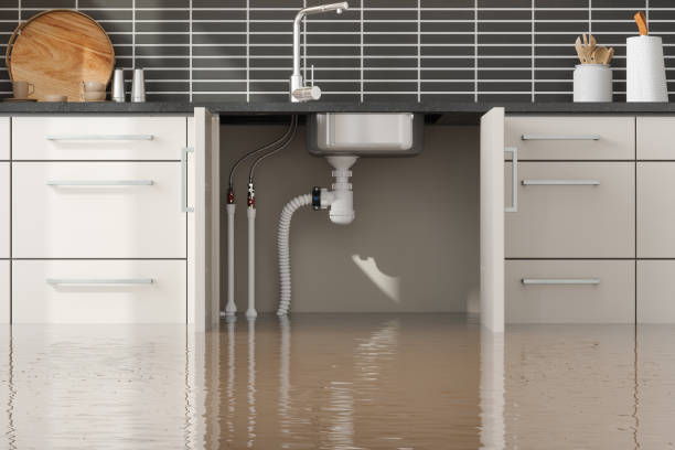 Best Sewage cleanup and water damage restoration  in Orland, CA