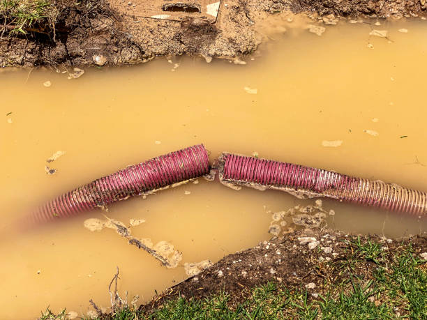 Best 24-hour water damage restoration  in Orland, CA